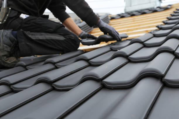 Best Sheet Metal Roofing  in Issaquah, WA